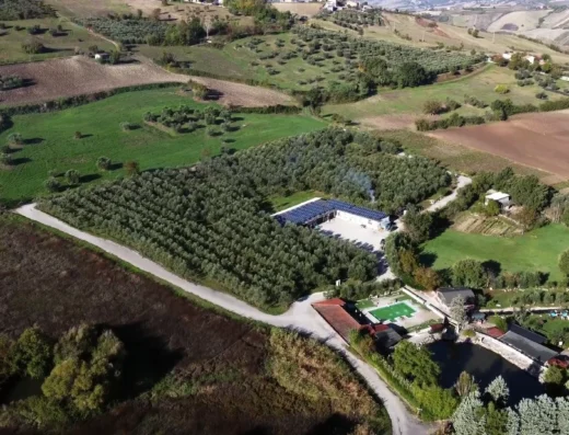 Azienda Agricola Petrilli