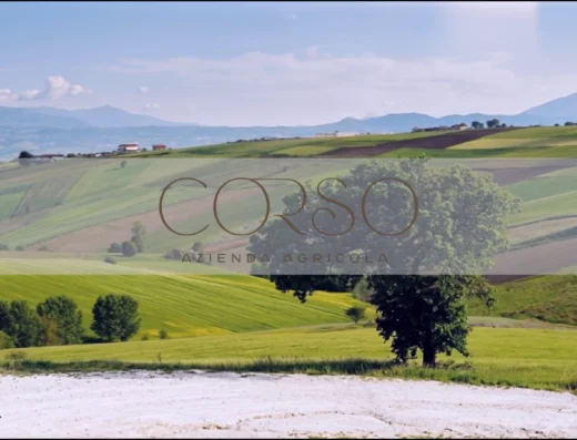Azienda Agricola Antonio Corso