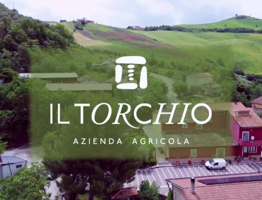 il torchio